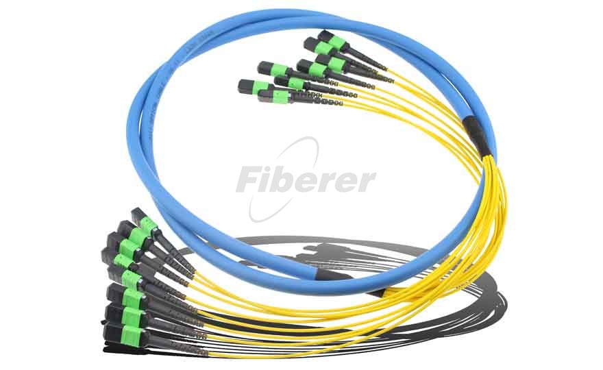 Fiberer MPO/MTP Trunk Cable Assemblies 